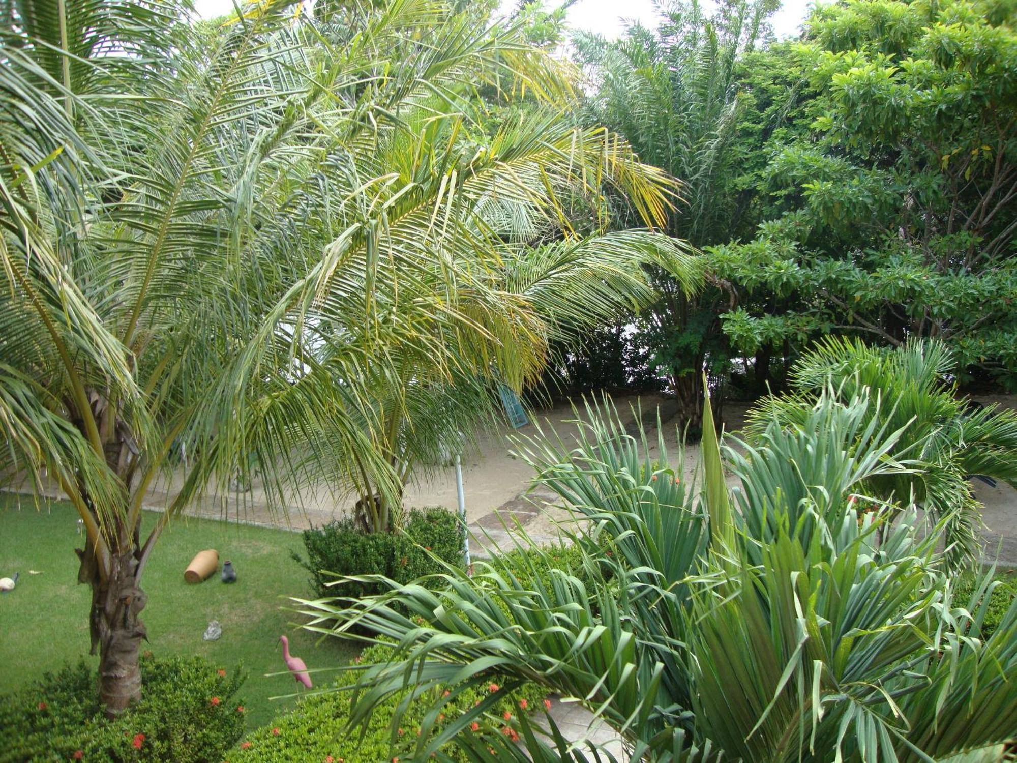 Hotel Pousada Paraiso Das Aguas Barreirinhas Ngoại thất bức ảnh